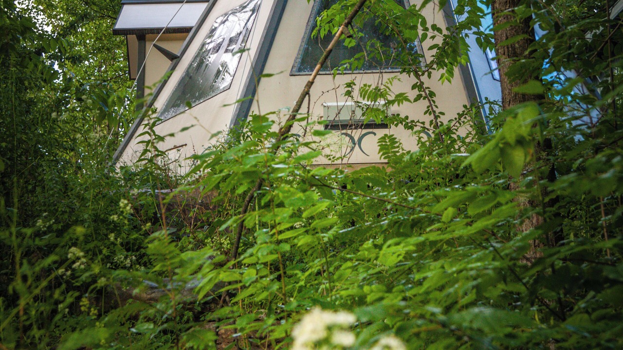 Photo of Outdoor in Roxton