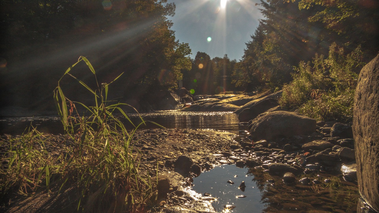 Photo of Outdoor in Roxton