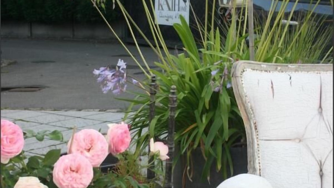 Photo of Outdoor in Bondues