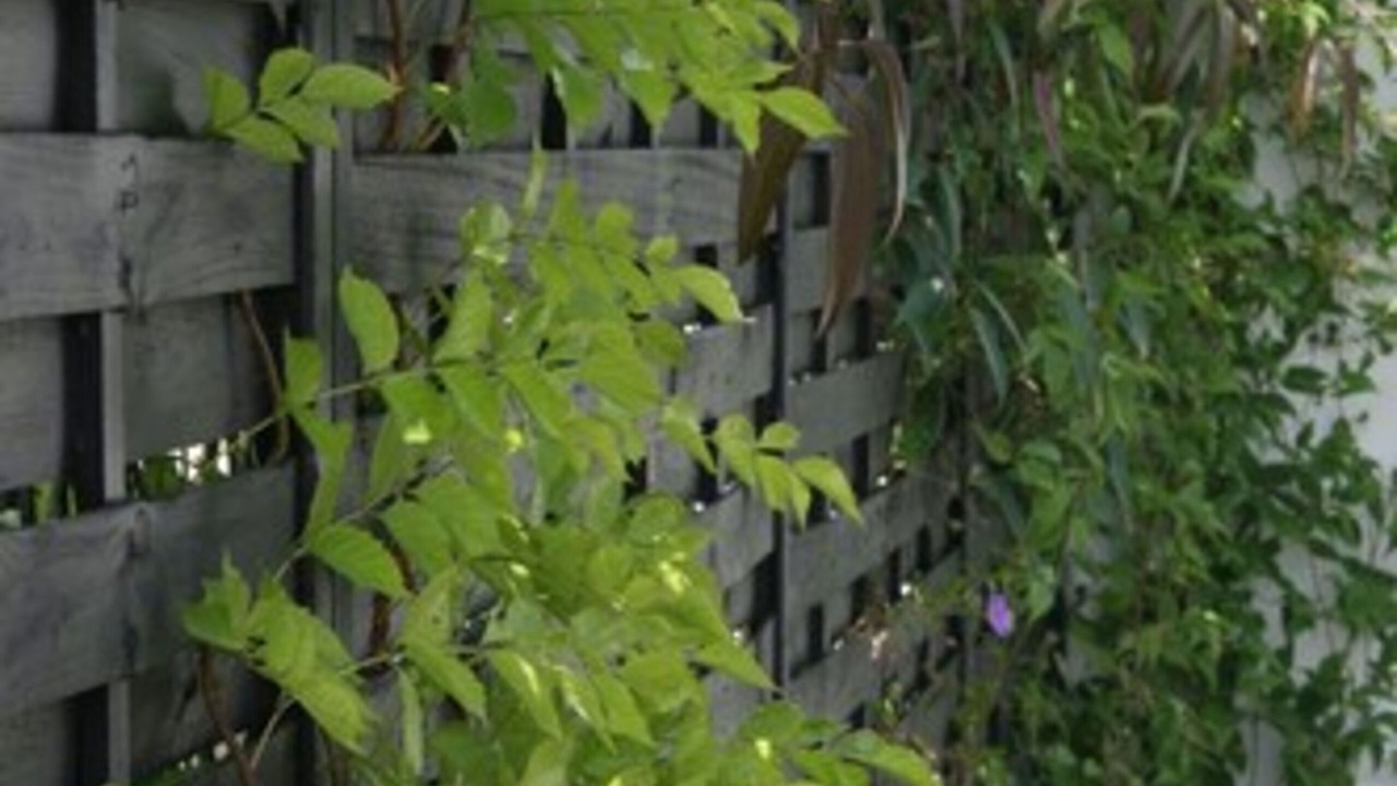 Photo of Outdoor in Bondues