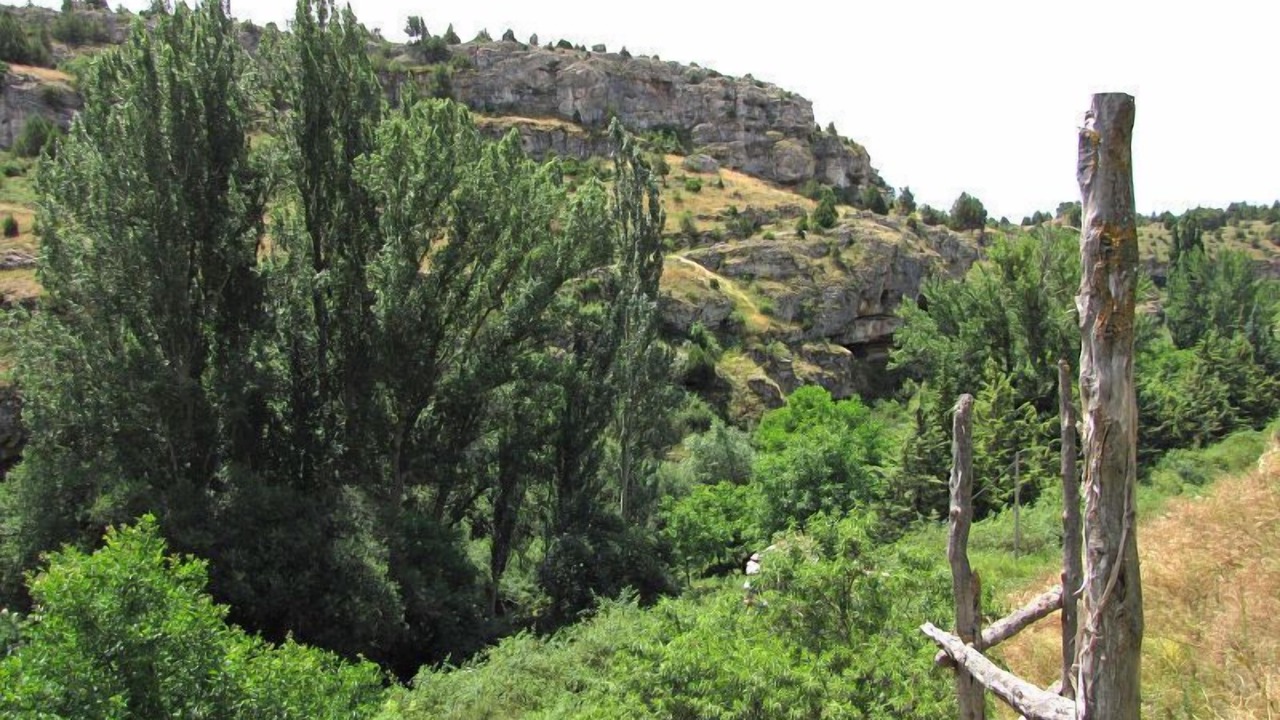 Photo of Others in Calatanazor