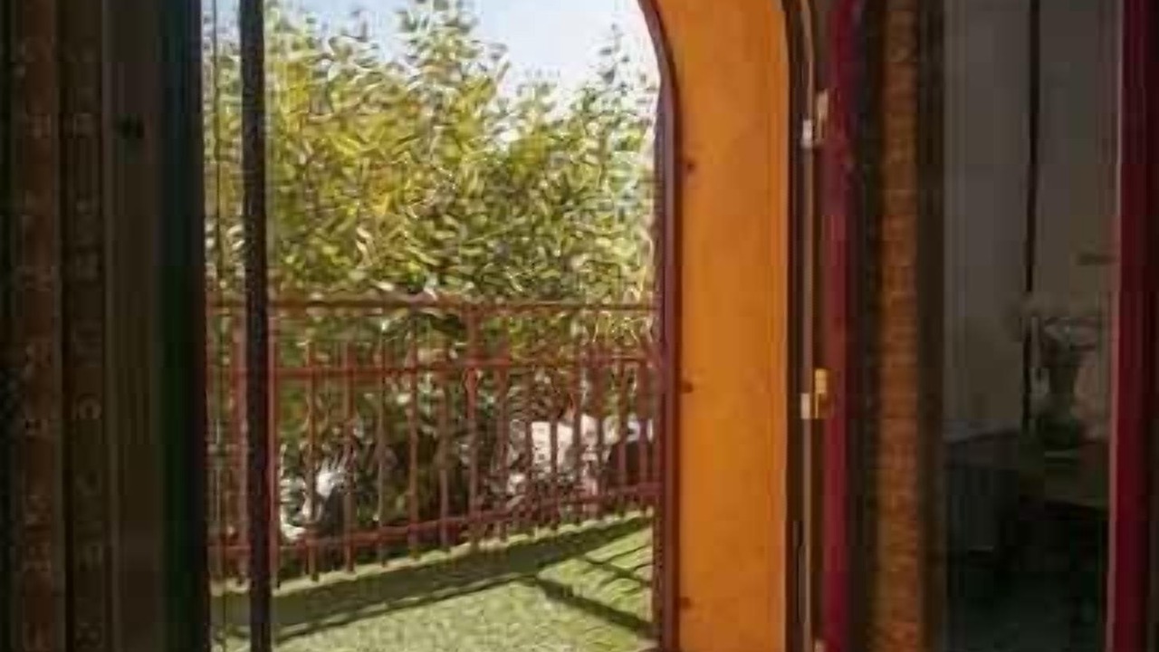 Photo of Outdoor in San Rafael