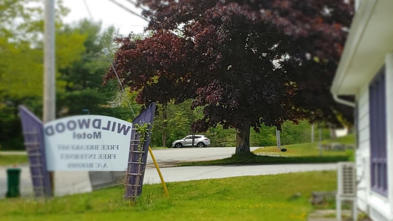 Photo of Outdoor in Shelburne