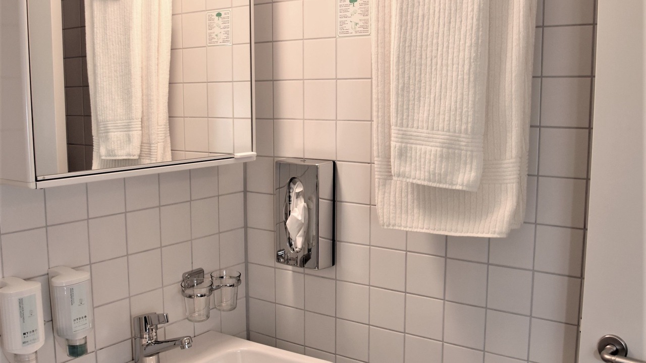 Photo of Bathroom in St. Gallen