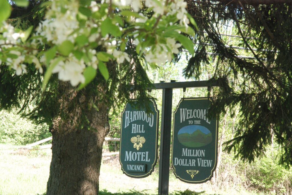 Photo of Outdoor in Bennington