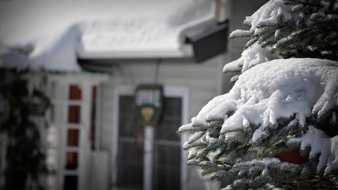 Photo of Others in Bennington