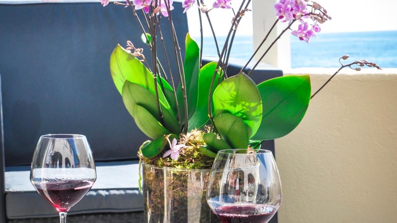 Photo of Patio Balcony in Figarella