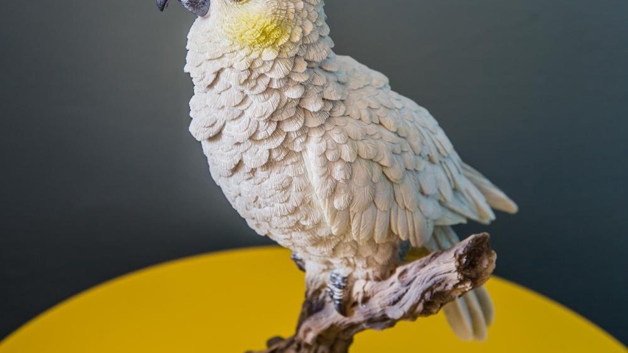 Photo of Others in Darlinghurst