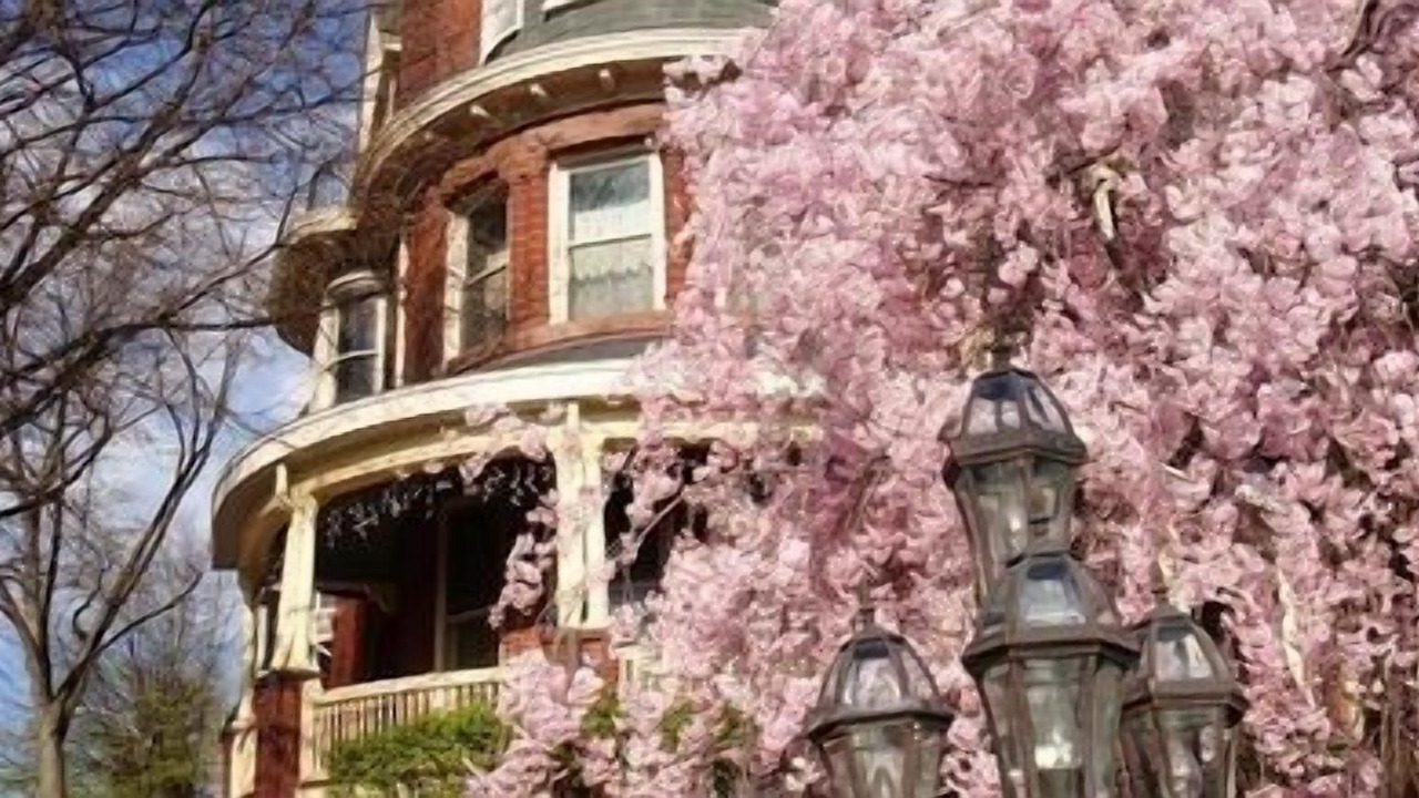 Photo of Outdoor in Downtown Baltimore