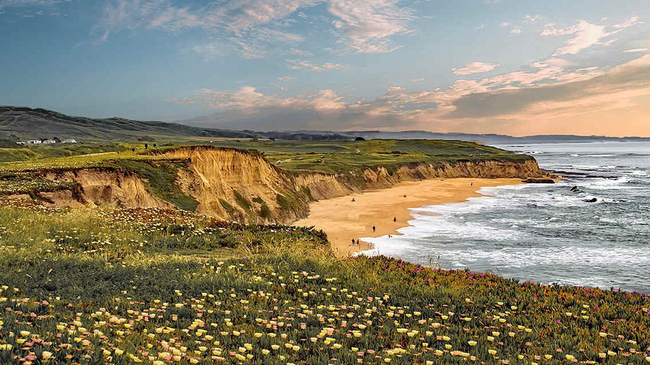 Photo of Others in Half Moon Bay