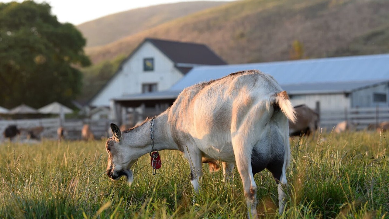 Photo of Others in Half Moon Bay
