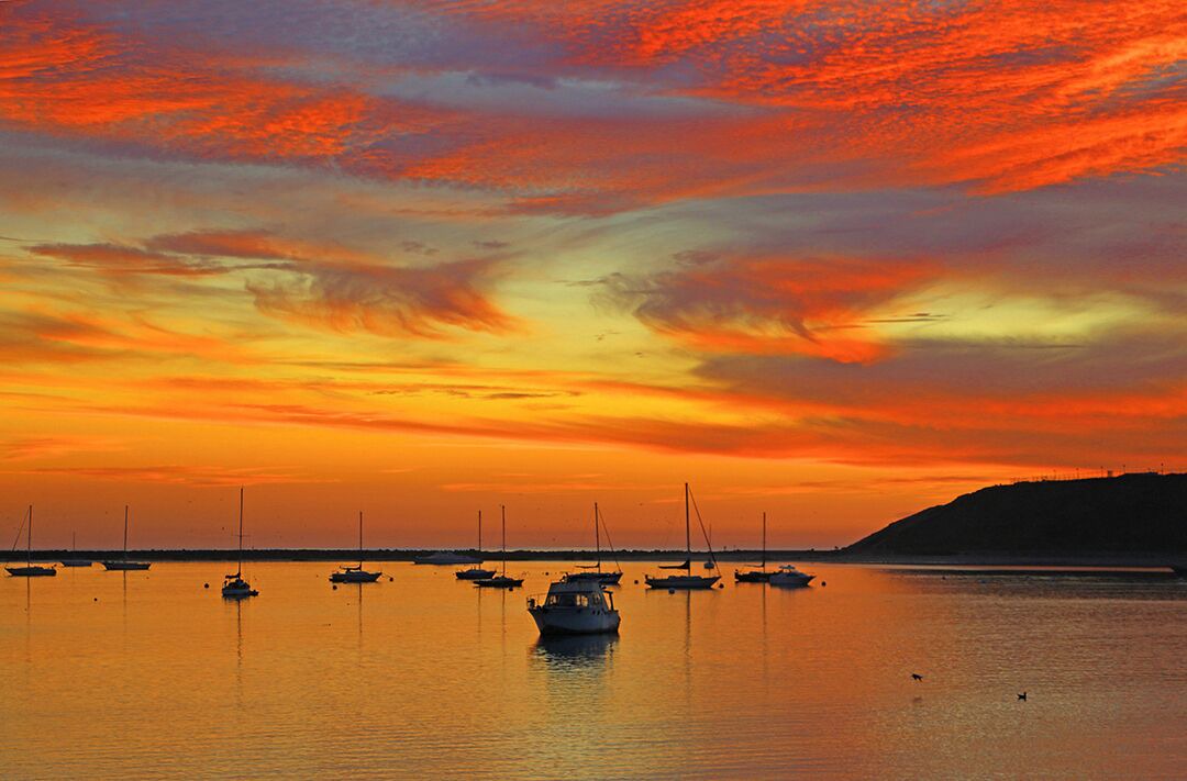 Photo of Others in Half Moon Bay