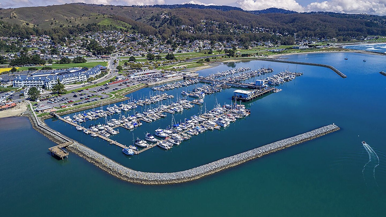 Photo of Others in Half Moon Bay