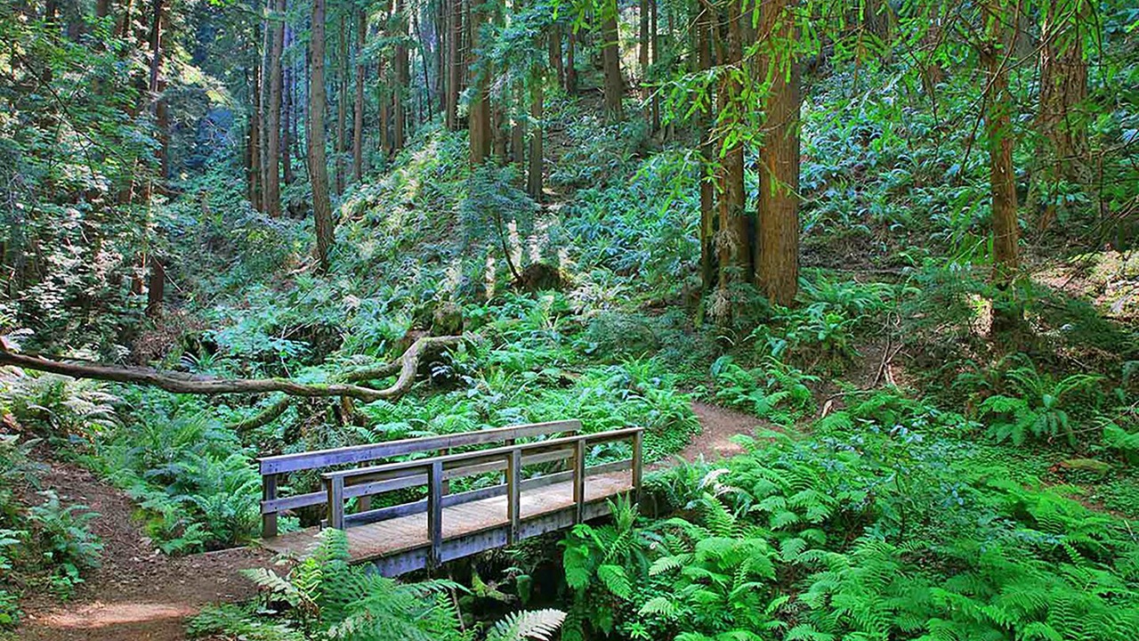 Photo of Others in Half Moon Bay