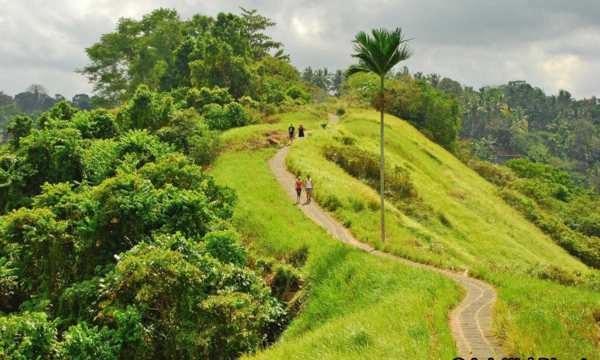 Photo of Others in Melayang