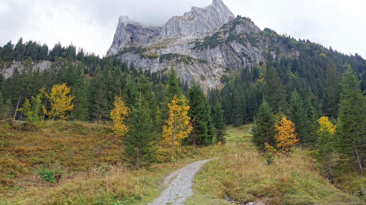 Photo of Outdoor in Reichenbach