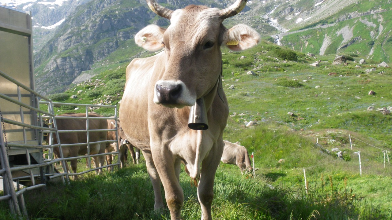 Photo of Outdoor in Reichenbach