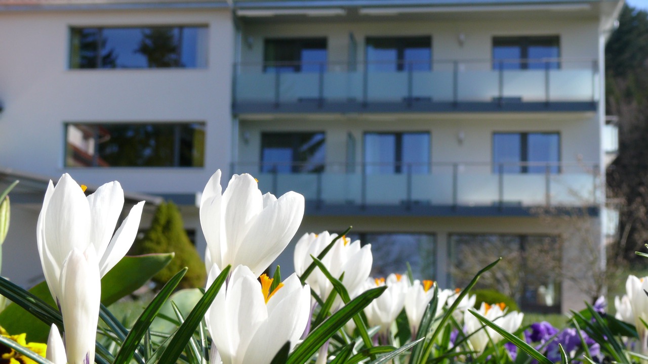 Photo of Outdoor in Seengen