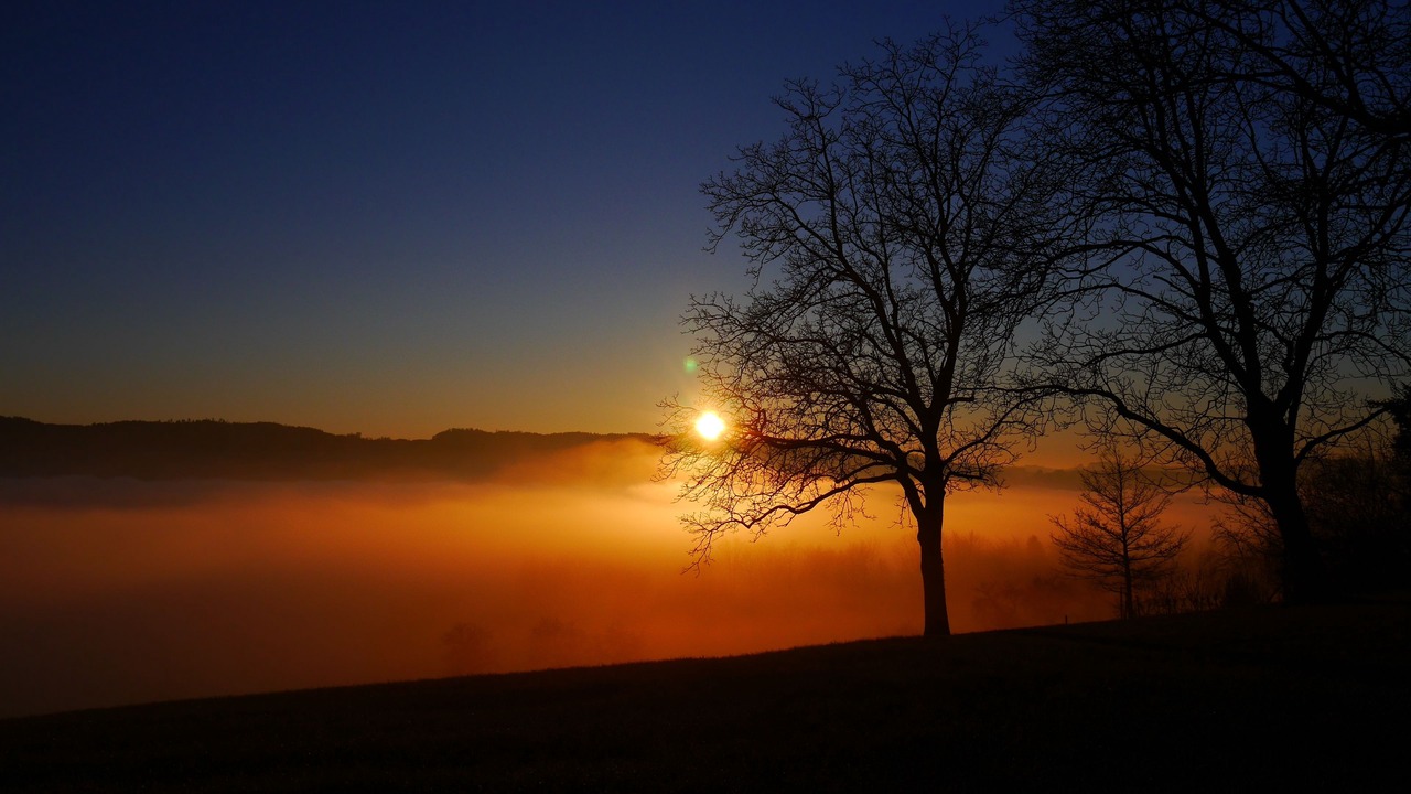 Photo of Others in Seengen