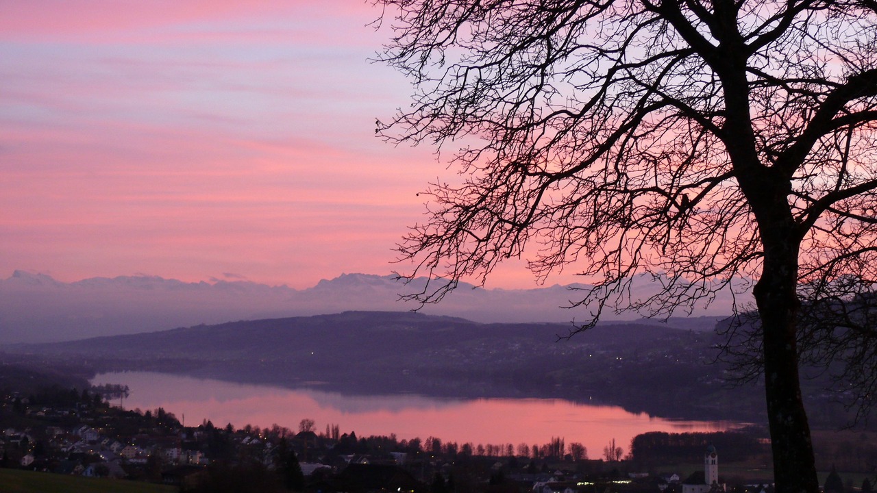 Photo of Others in Seengen