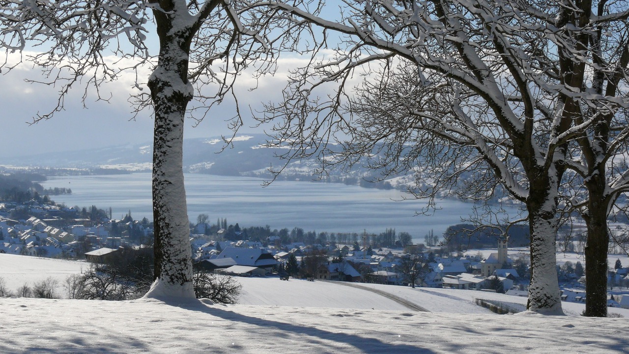 Photo of Outdoor in Seengen
