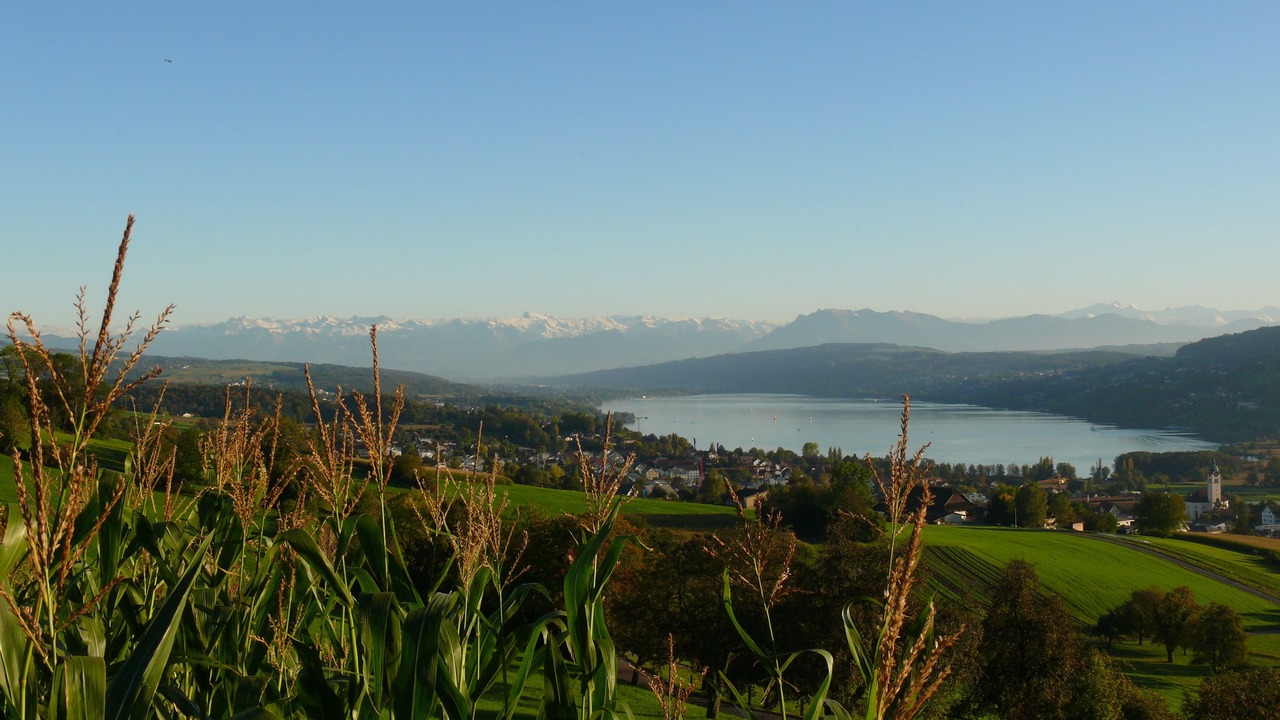 Photo of Bedroom in Seengen