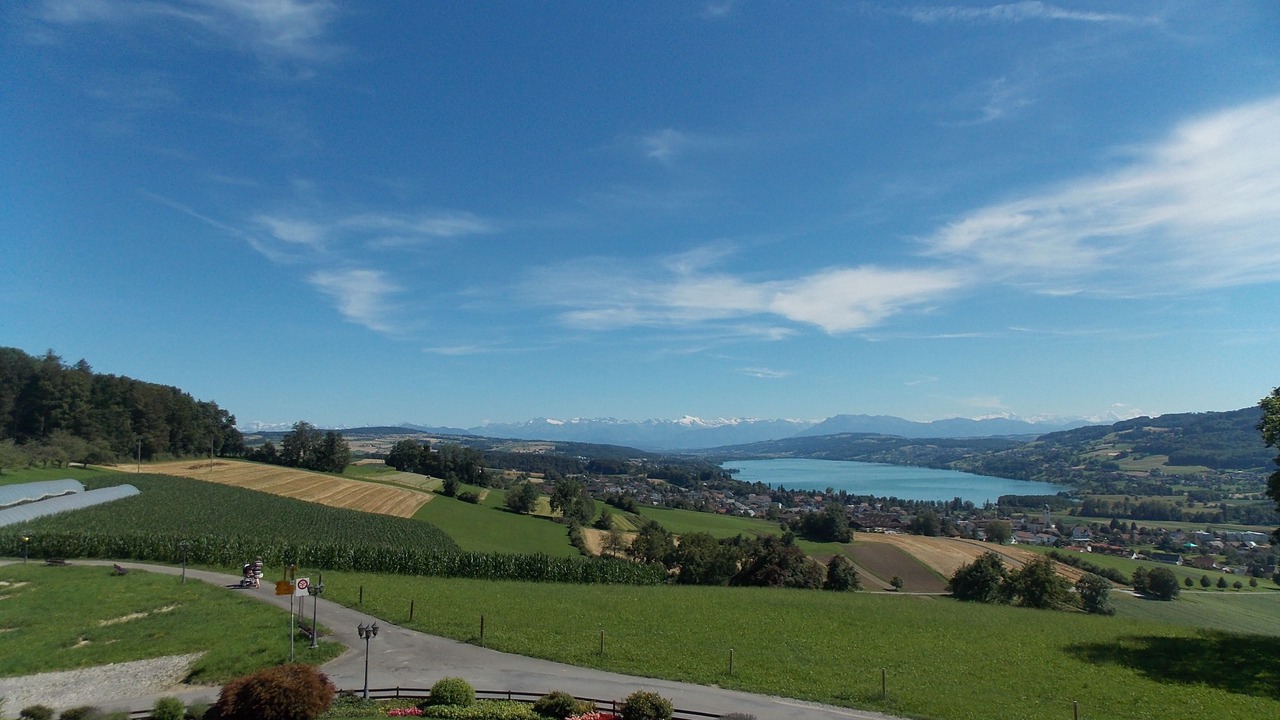Photo of Bedroom in Seengen