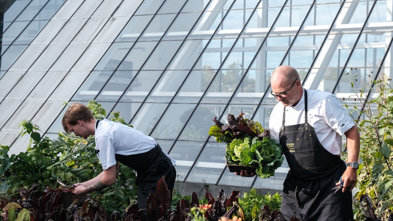 Photo of Outdoor in Brondby