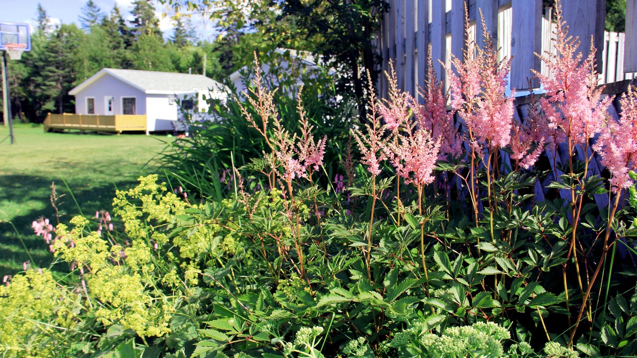 Photo of Outdoor in Cavendish