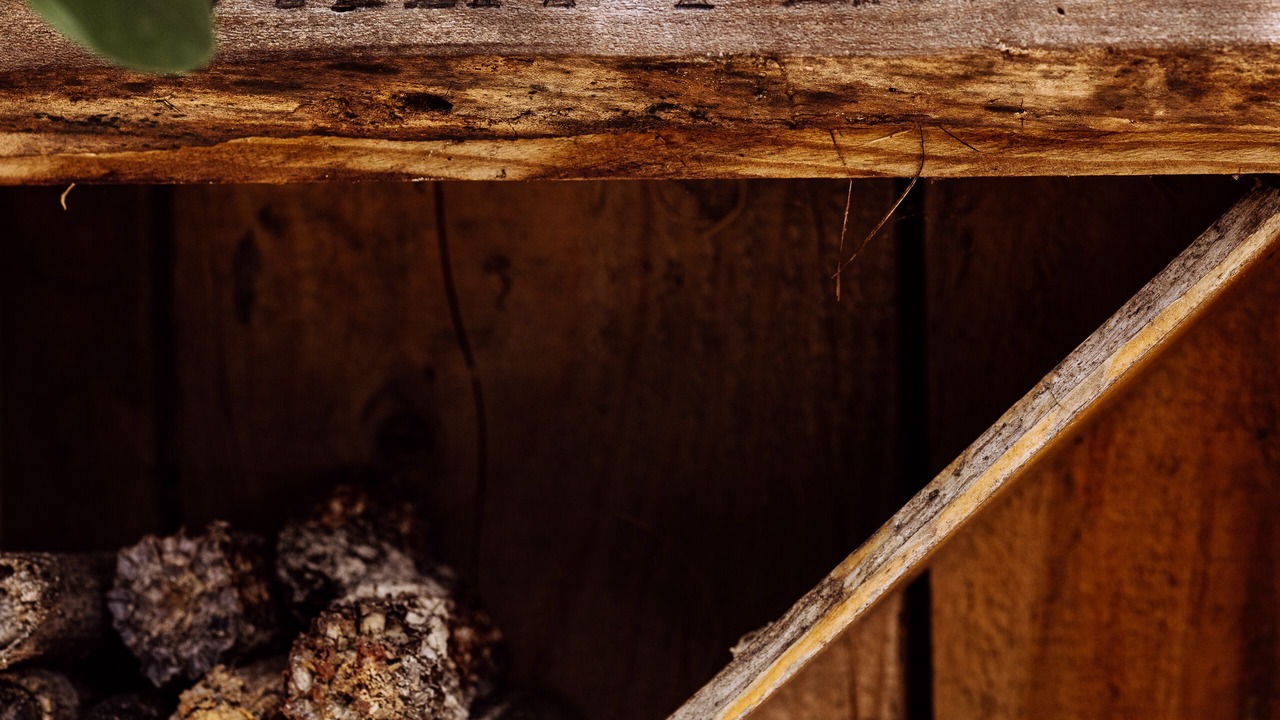 Photo of Outdoor in Mont-de-Marsan