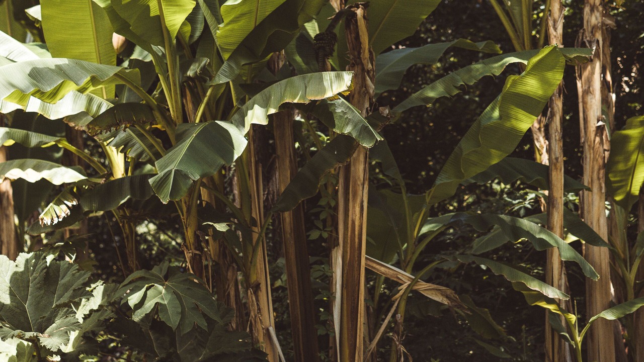 Photo of Outdoor in Mont-de-Marsan