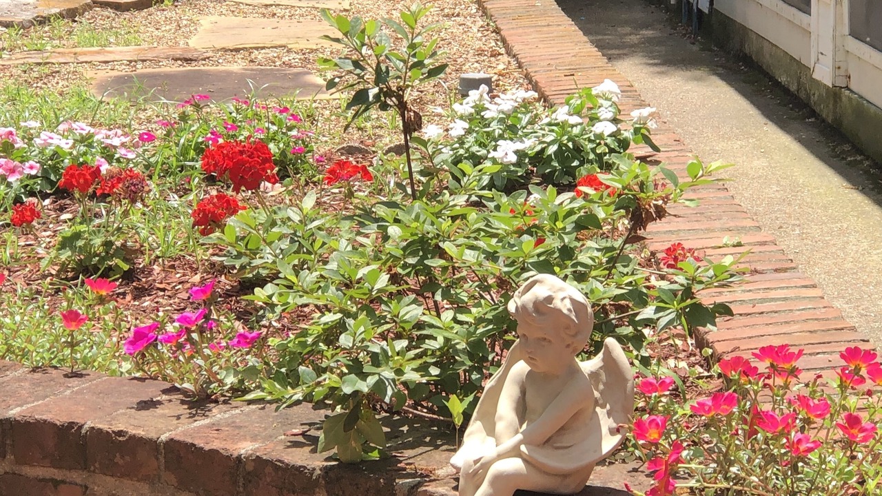 Photo of Outdoor in Natchez