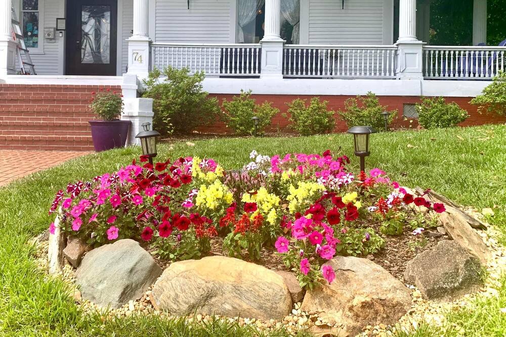 Photo of Outdoor in Toccoa