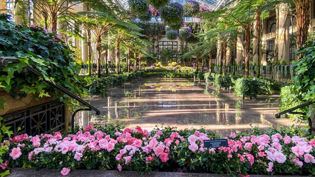 Photo of Others in Cheyney