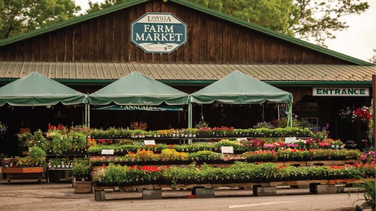 Photo of Others in Cheyney