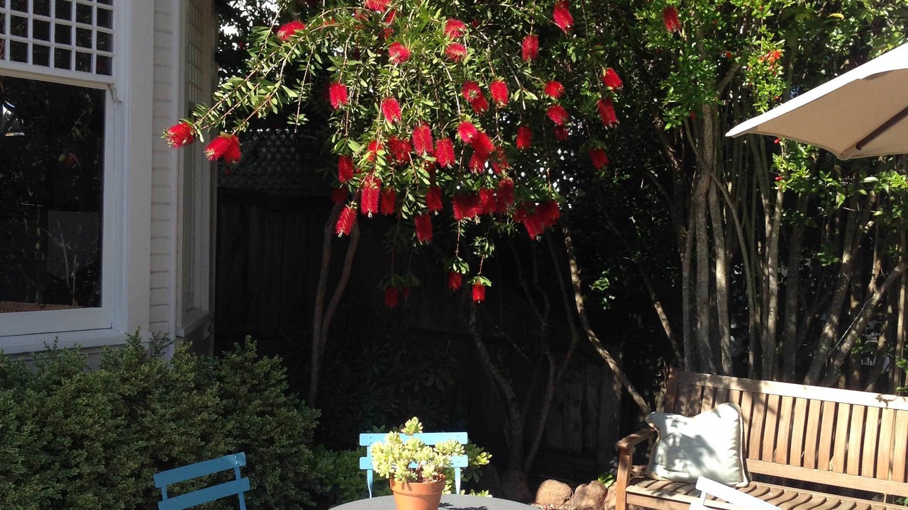 Photo of Patio Balcony in Sonoma