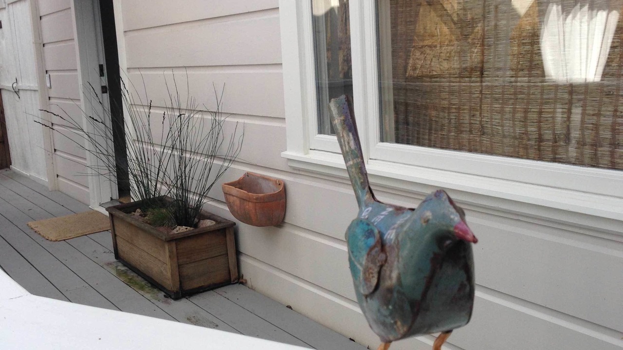 Photo of Outdoor in Sonoma