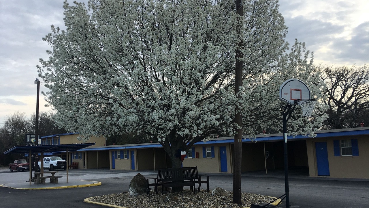Photo of Outdoor in Early
