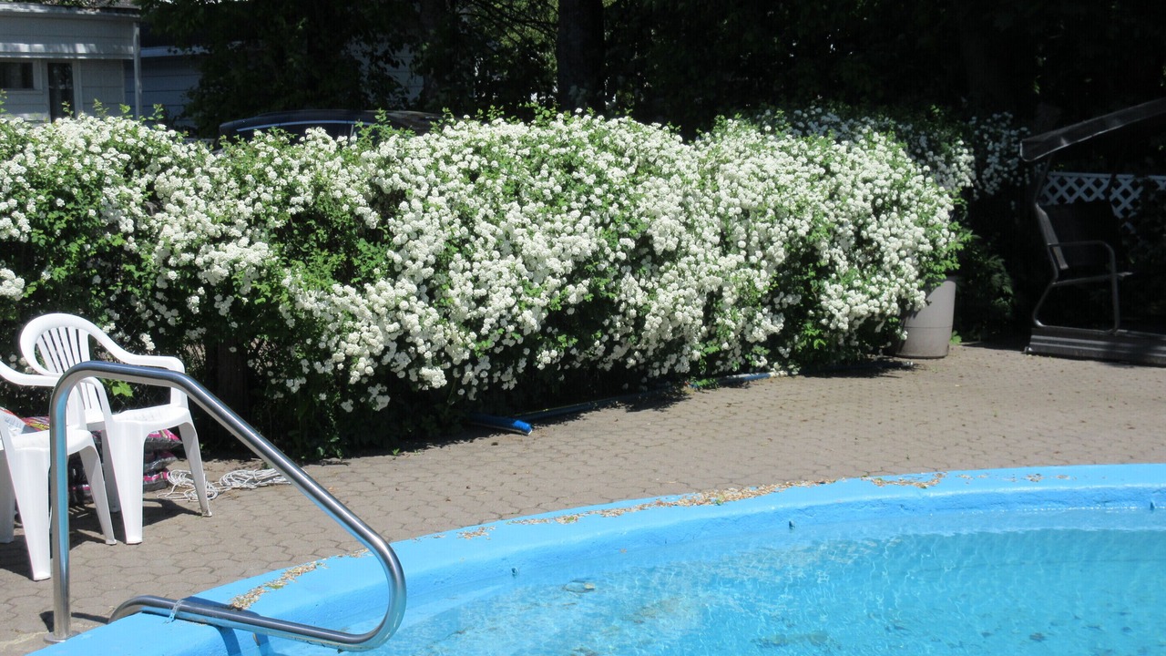 Photo of Outdoor in Trois-Rivieres