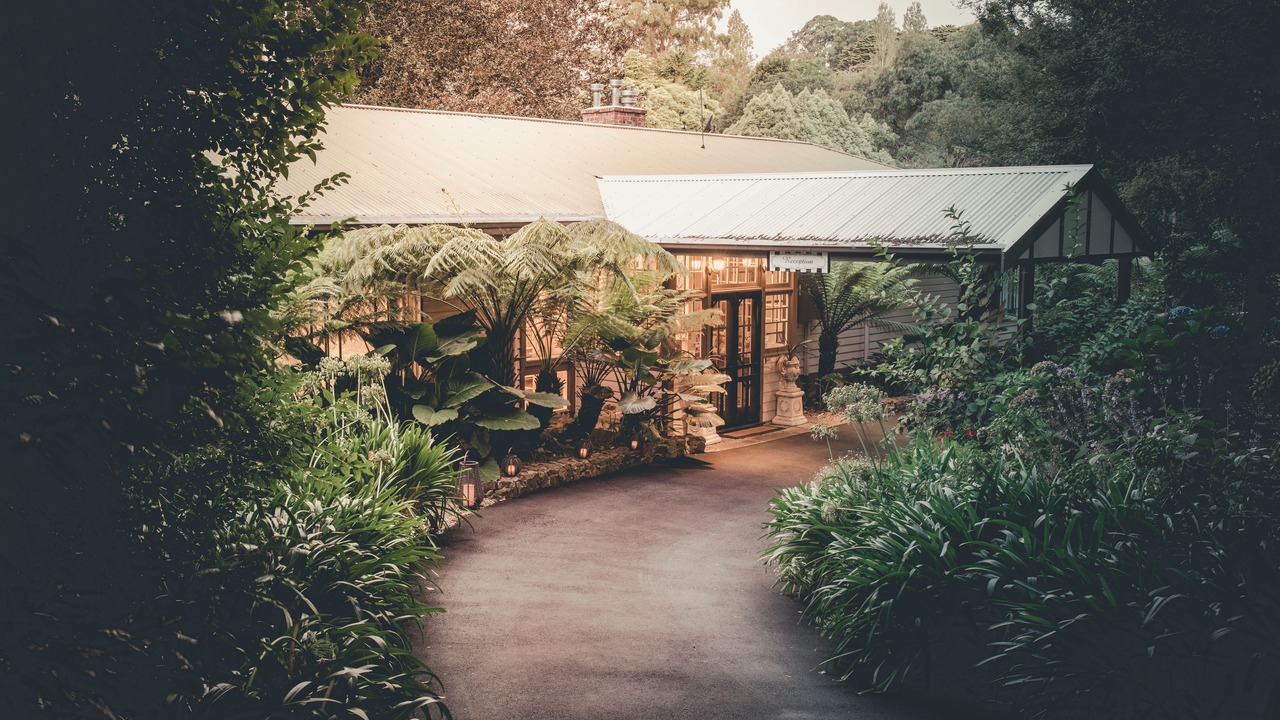 Photo of Outdoor in Sassafras