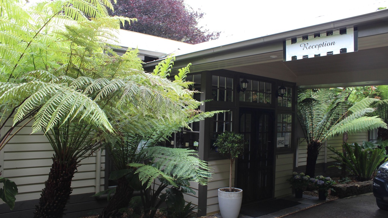 Photo of Outdoor in Sassafras