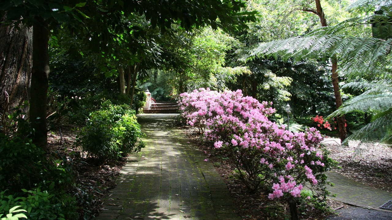 Photo of Outdoor in Sassafras