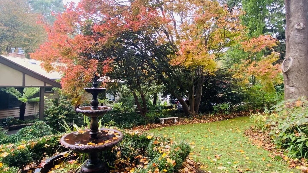 Photo of Outdoor in Sassafras