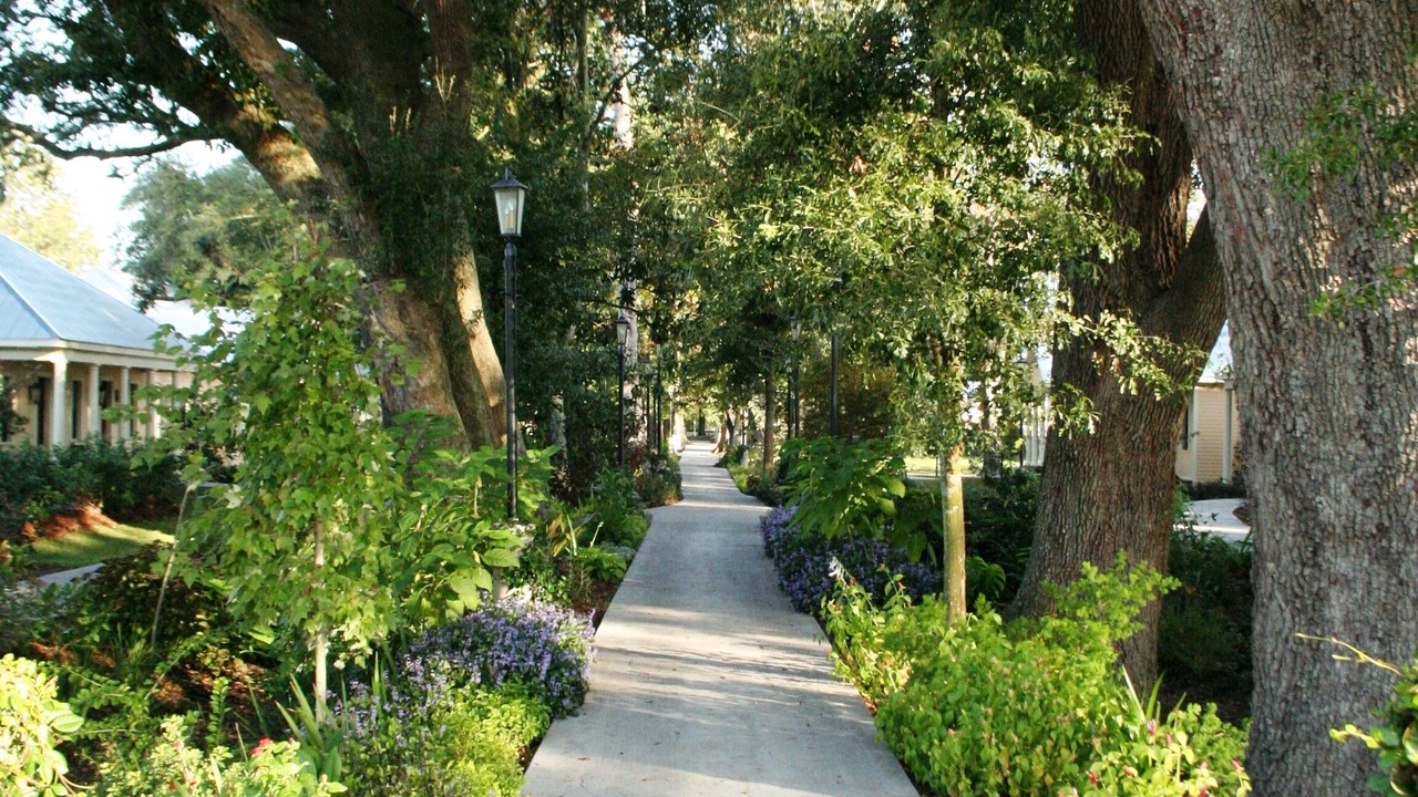 Photo of Outdoor in Darrow
