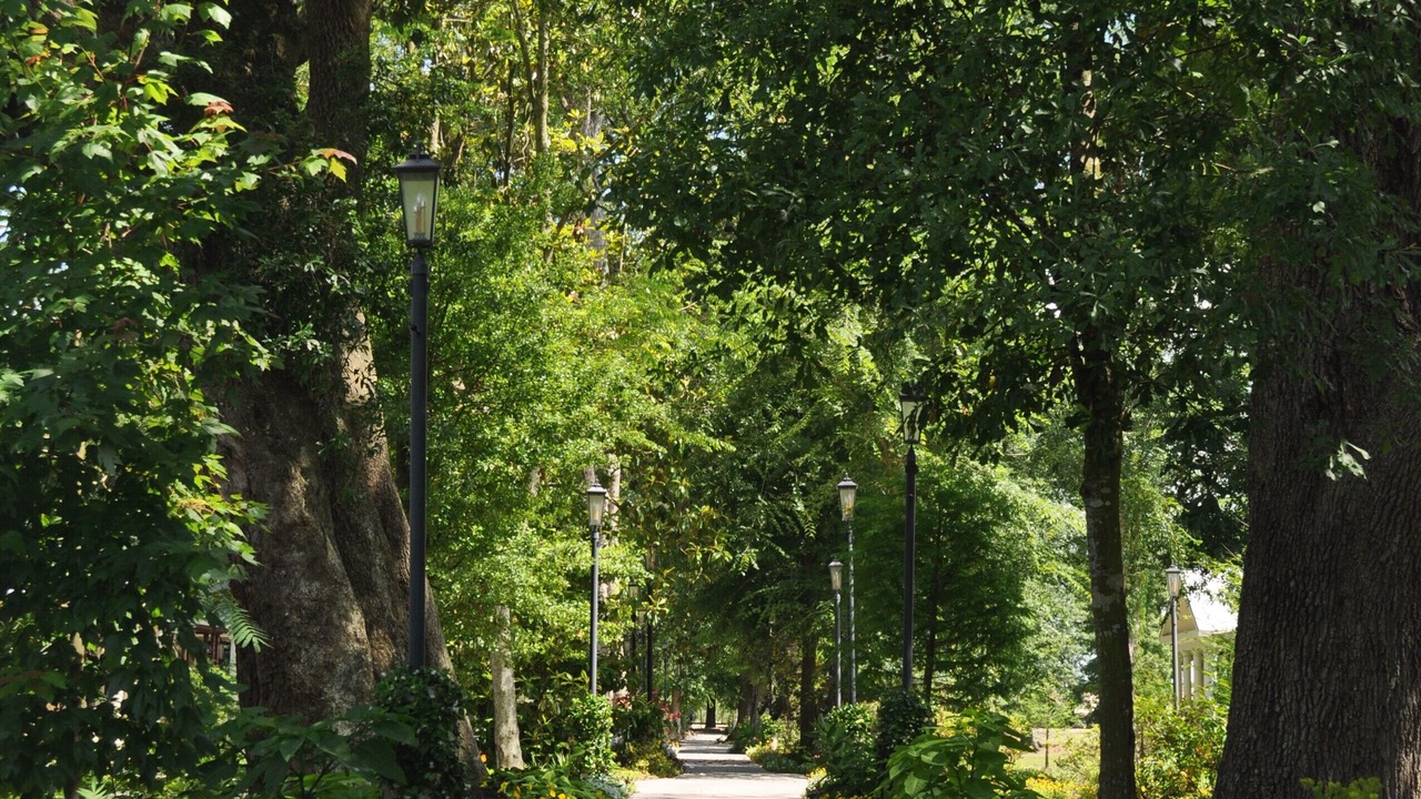 Photo of Outdoor in Darrow