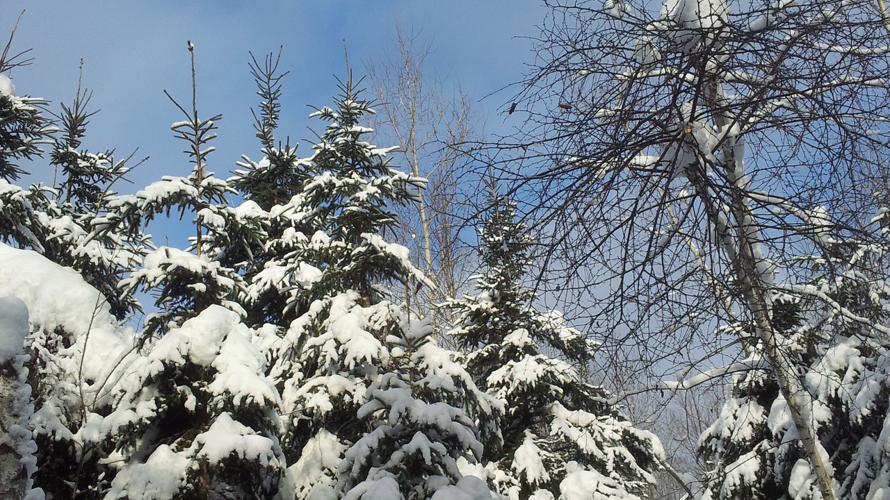 Photo of Outdoor in Saint-Boniface