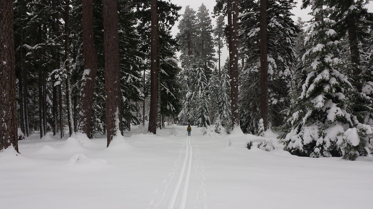 Photo of Others in Dufur