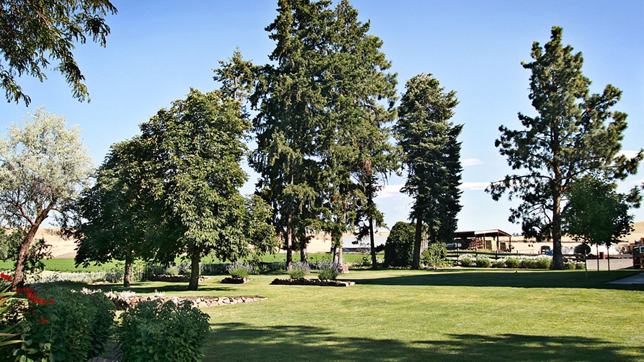 Photo of Outdoor in Dufur