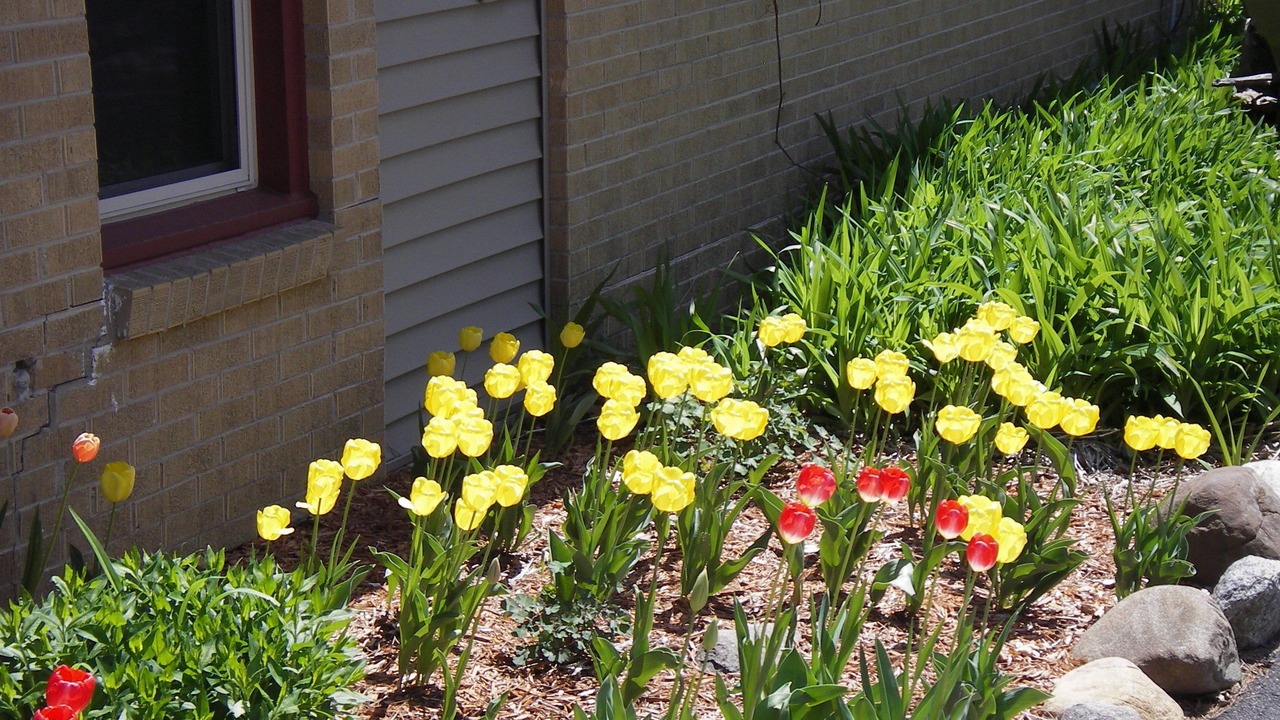 Photo of Outdoor in Baldwin
