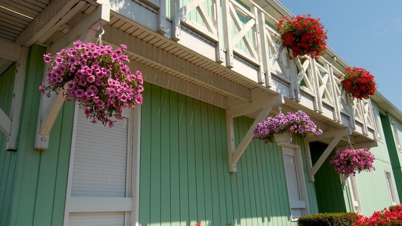 Photo of Outdoor in Lesquin